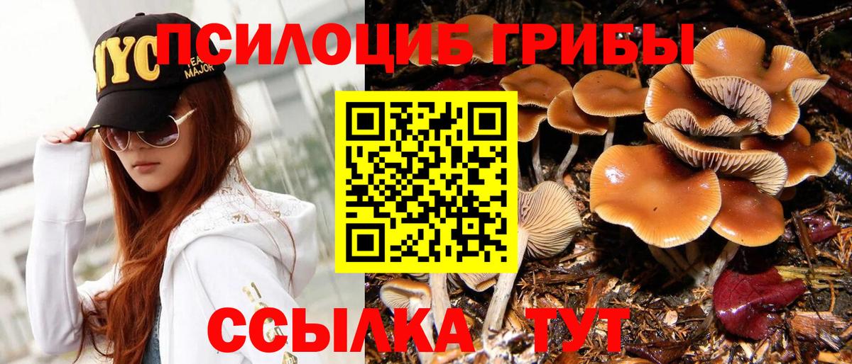 Анжеро-Судженск  Псилоцибиновые грибы MAGIC MUSHROOMS  Вход с VPN 